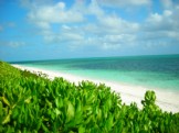 Oceanfront Villa on World Famous Grace Bay Beach