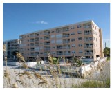 Jan's Beach Dream Luxury Gulf front Penthouse Cond