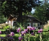 Private, cozy cottage in a country garden,